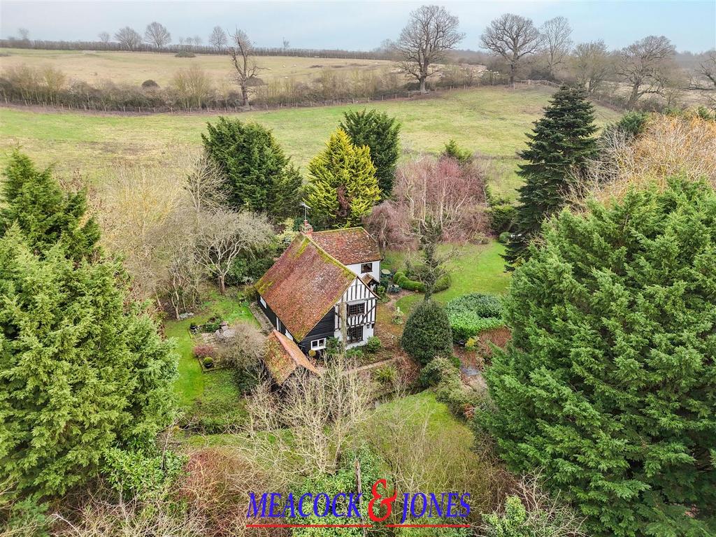 DJI 20260126123907 0939 D copy.jpg