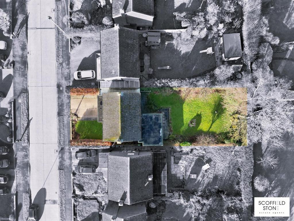 Birds eye