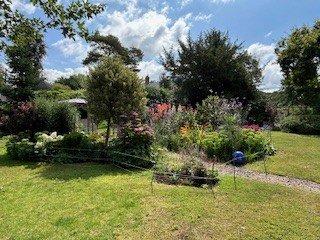 Summer Garden