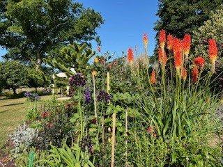 Summer Garden