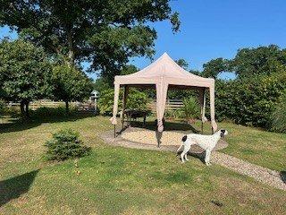 Summer Garden