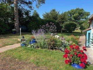 Summer Garden