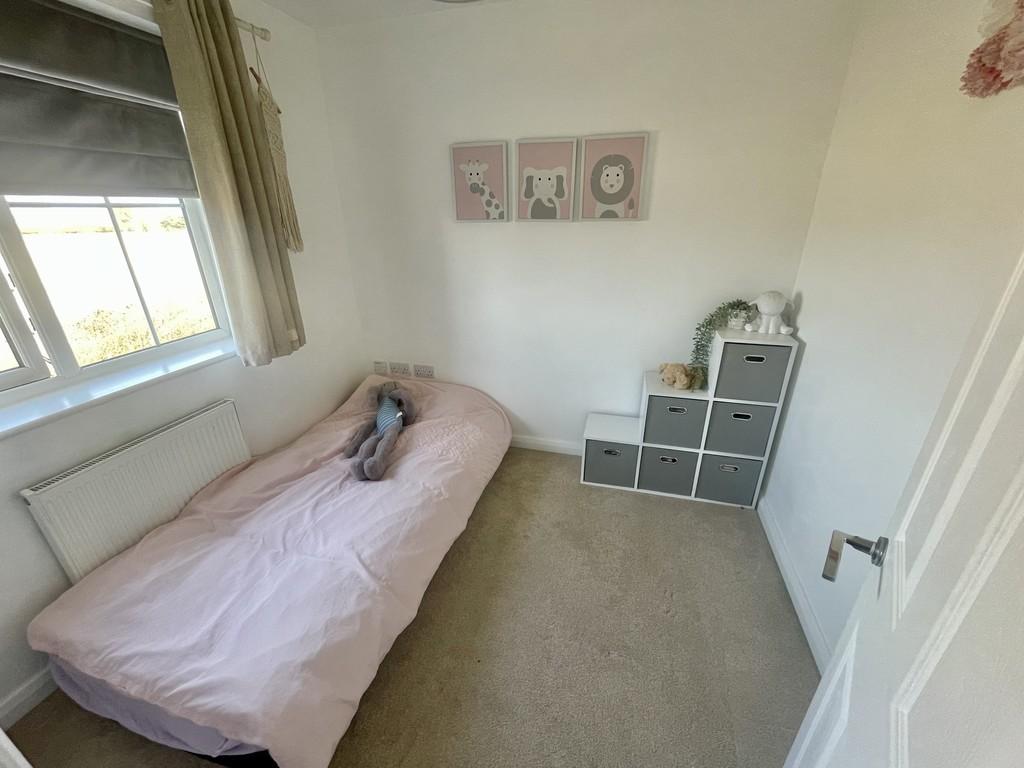 Img 1181