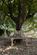 Additional image 45 of Chipping HIll, Witham, Essex, CM8