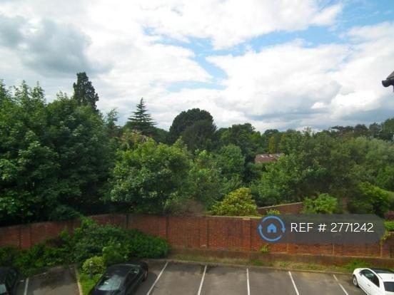 View From Lounge &amp; Kitchen &amp; Allocated Parking