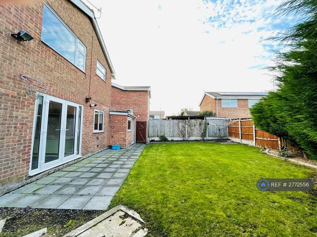 Back Garden
