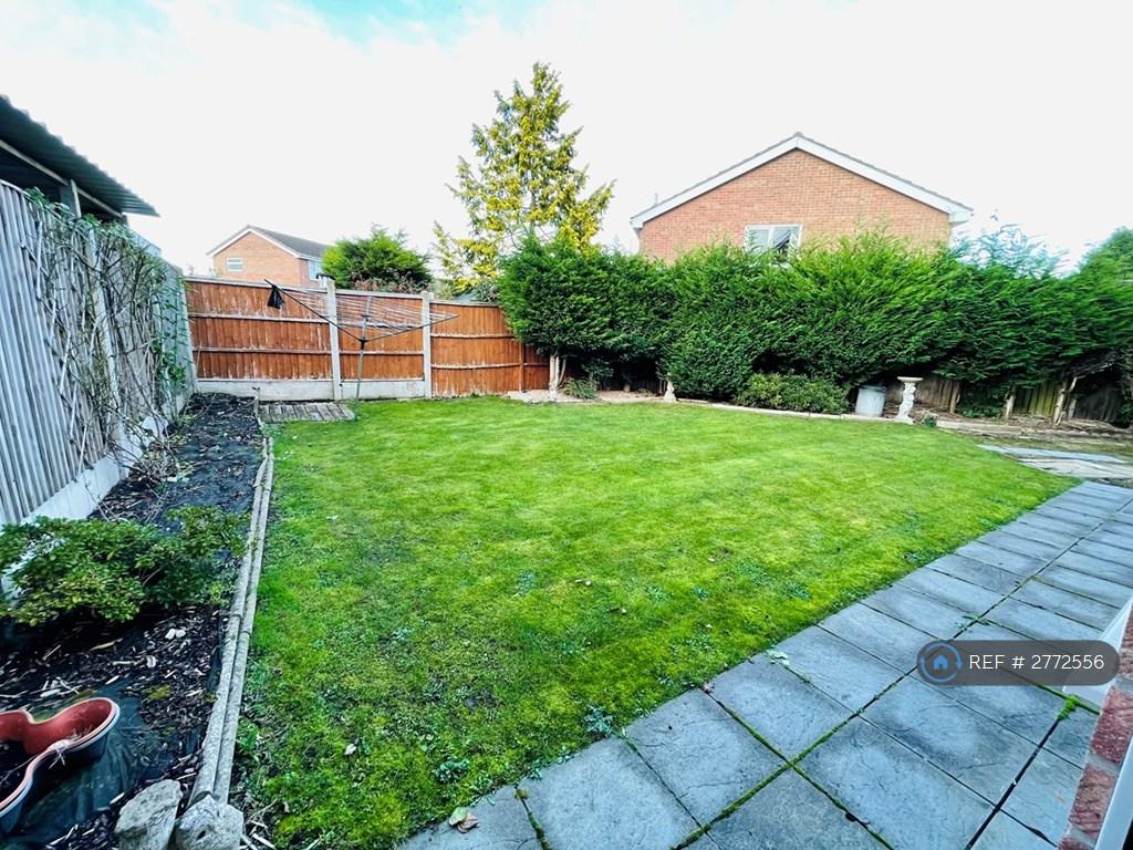 Back Garden