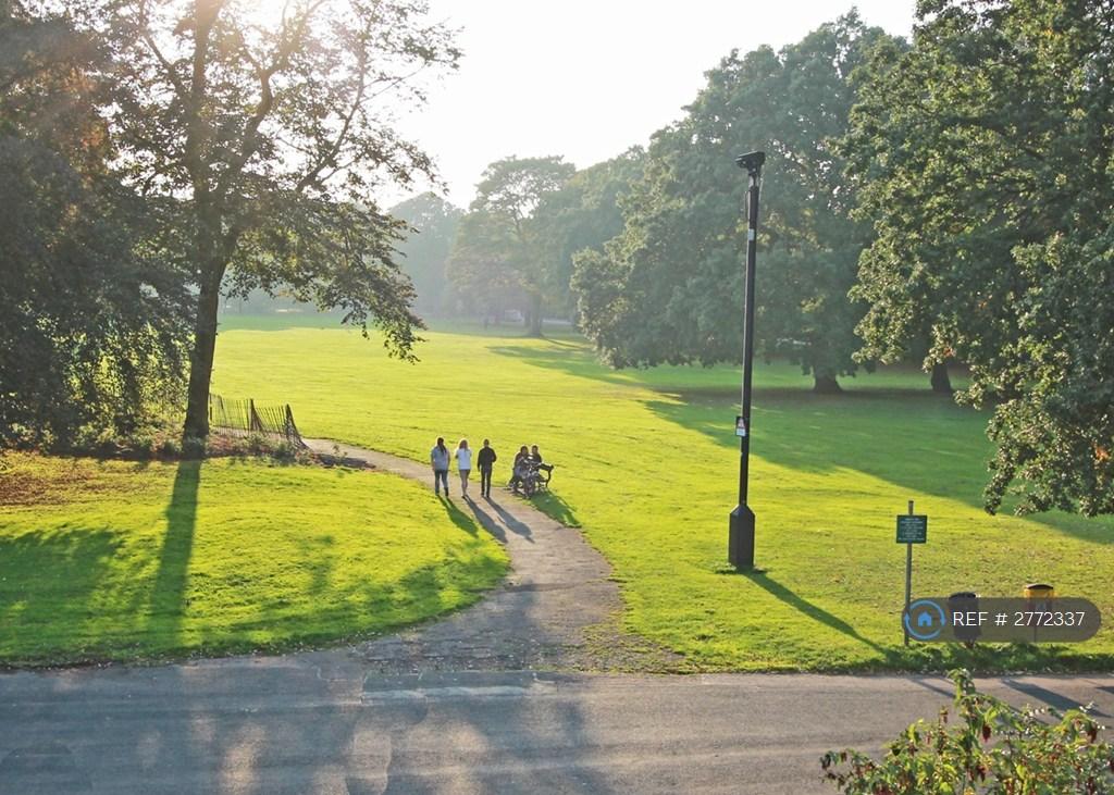 View Of The Park