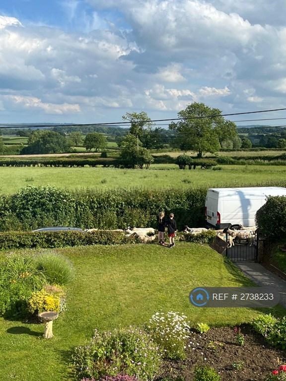View From Living Room