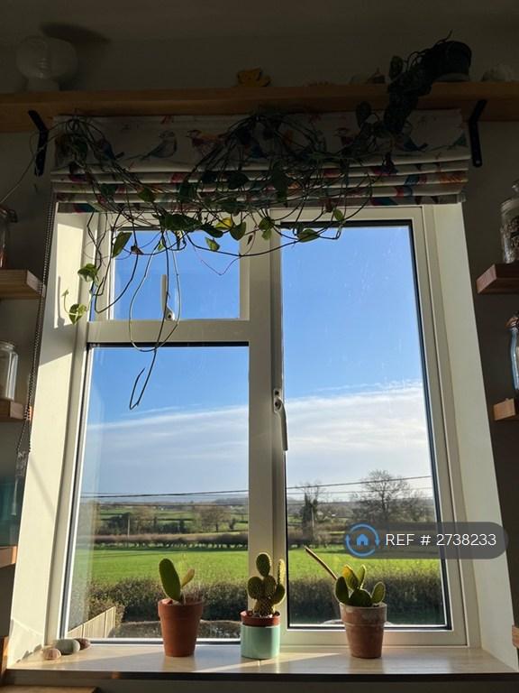 View From Kitchen