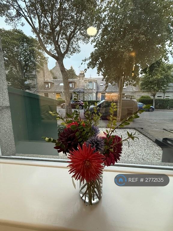 View From Lounge To Front Garden Area
