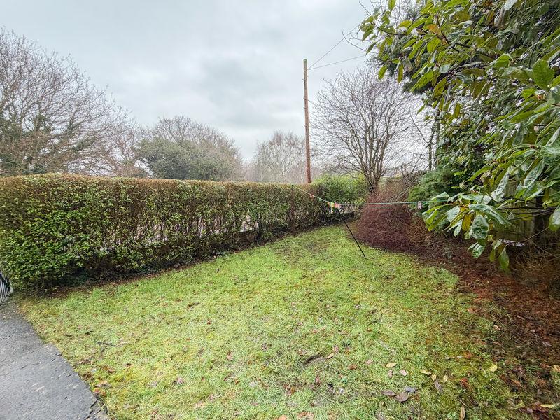 Side Garden