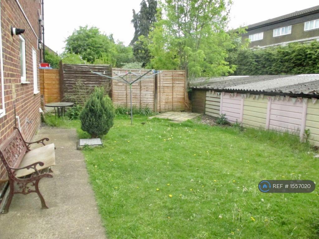 Sunny South Facing Garden