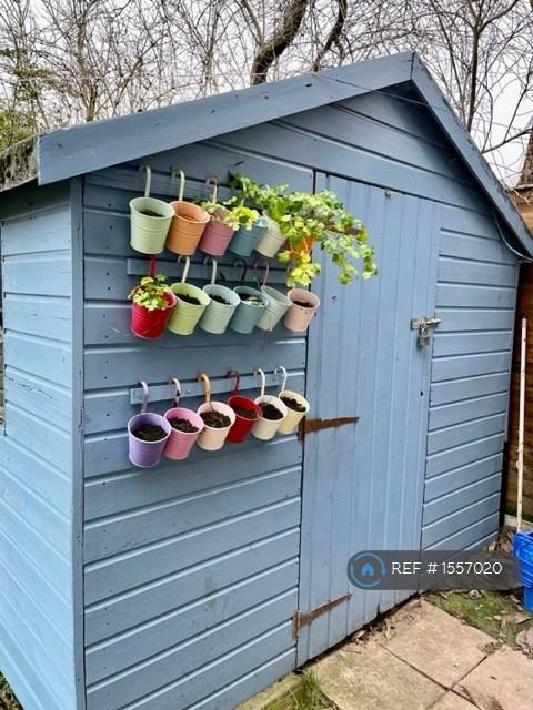 Large 8 x 10 Feet Shed With Electric Power