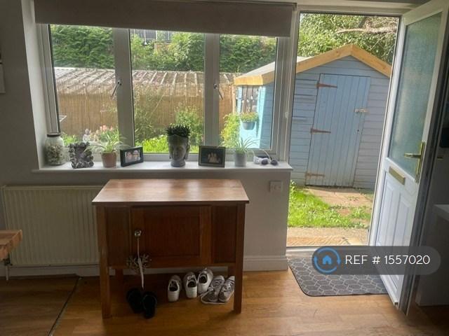 Garden From Living Room