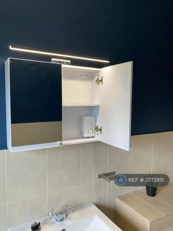 Mirror Cabinet