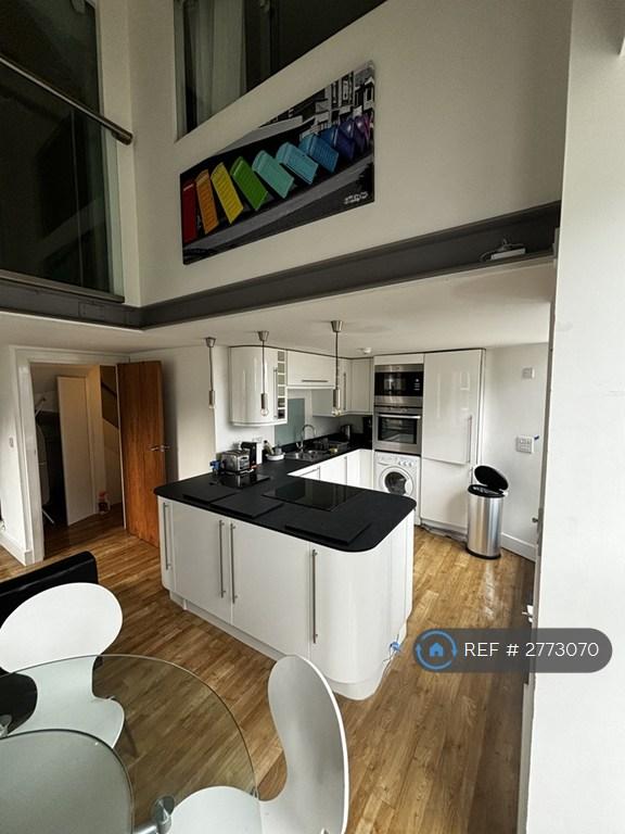Modern, Open-Plan Kitchen