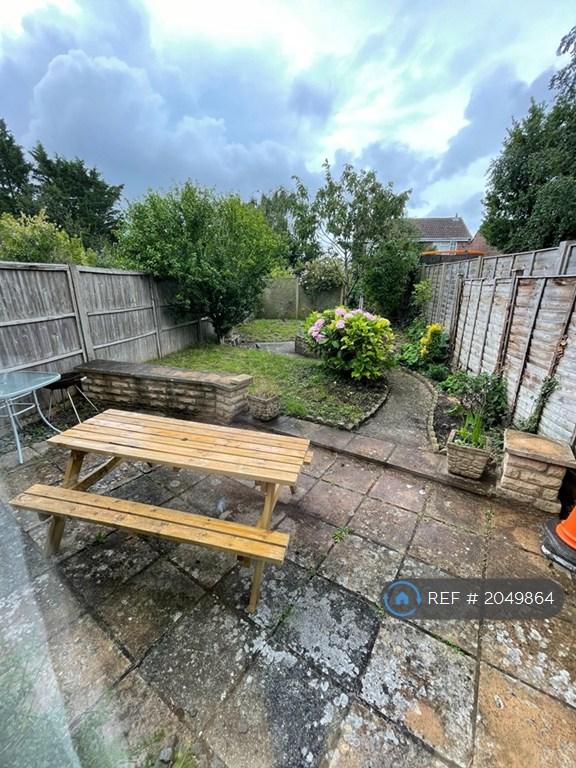 Back Garden
