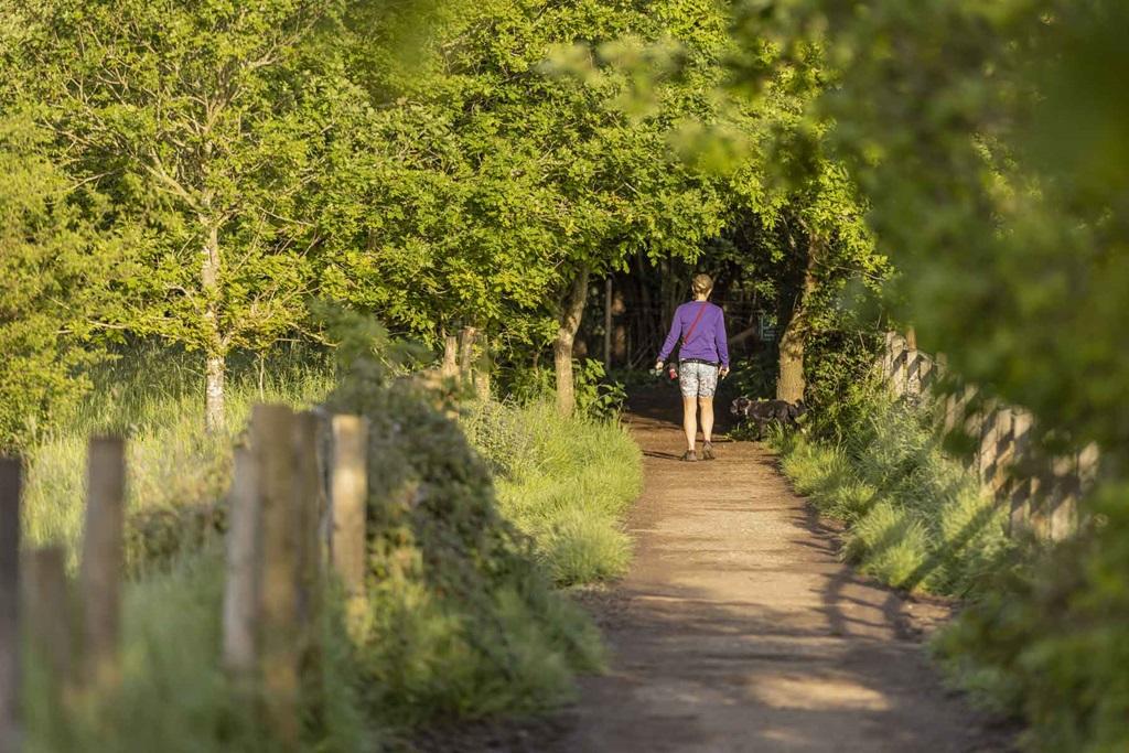 Get outdoors and enjoy woodland walks nearby