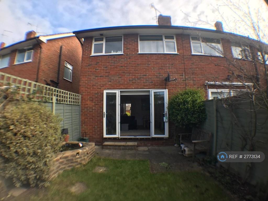 Back Garden