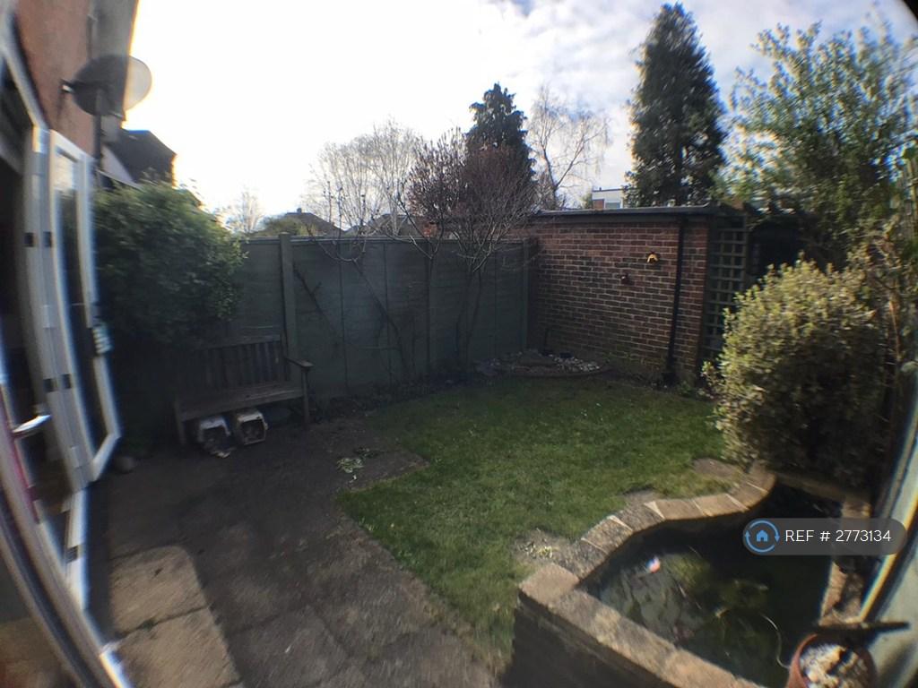 Back Garden