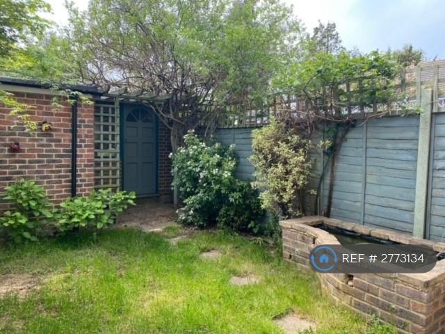 Back Garden