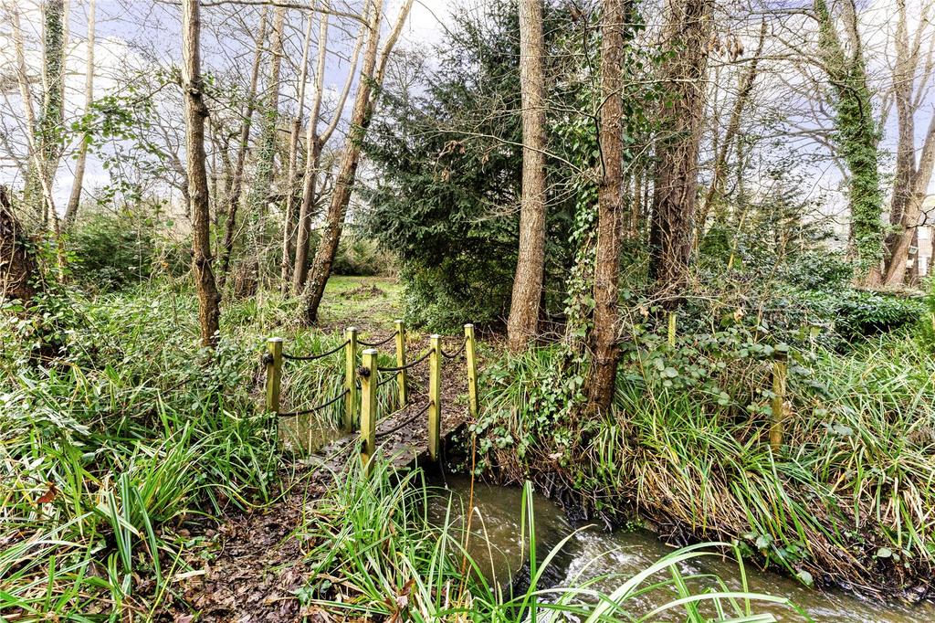 Woods