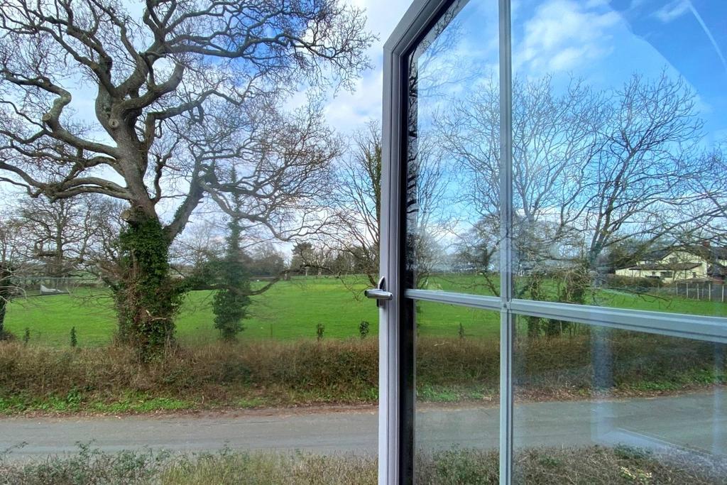 View From Window