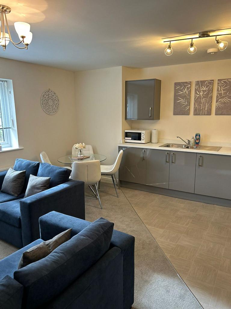Kitchen / Living Area