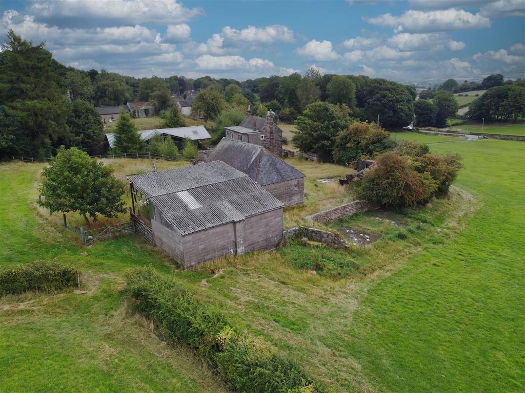 DJI 0665.jpg