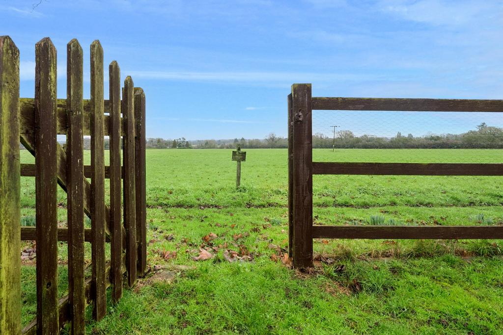 Fields