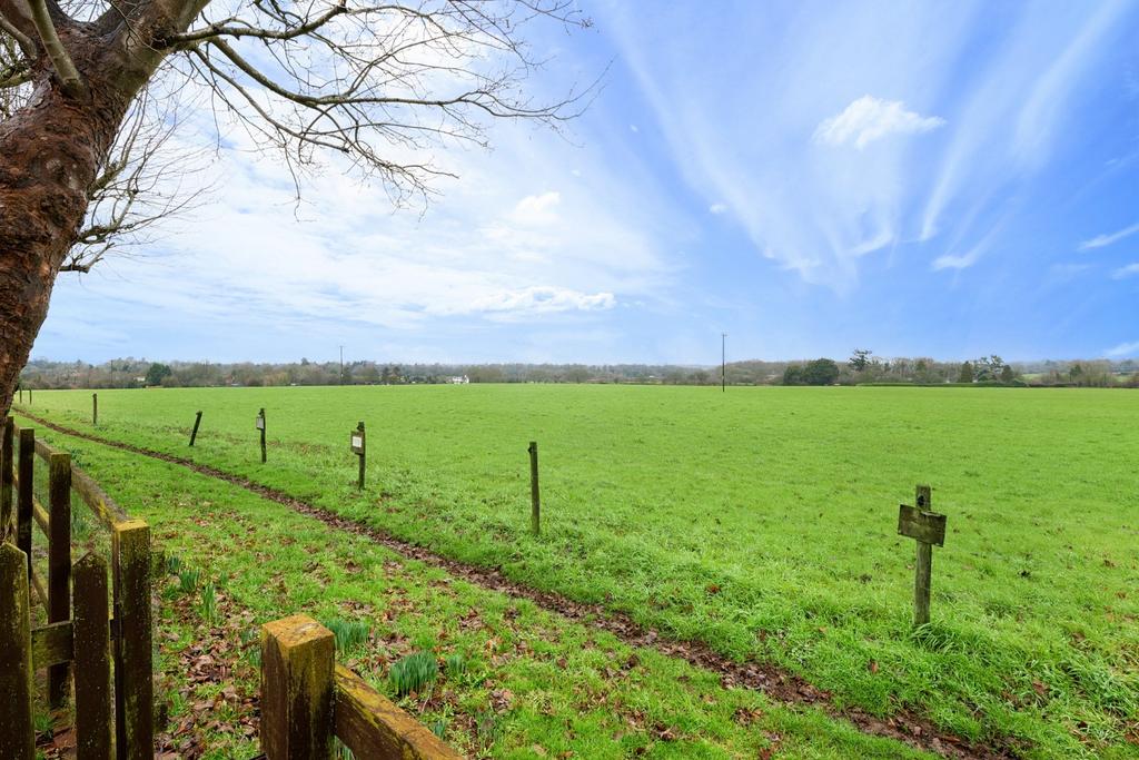 Fields