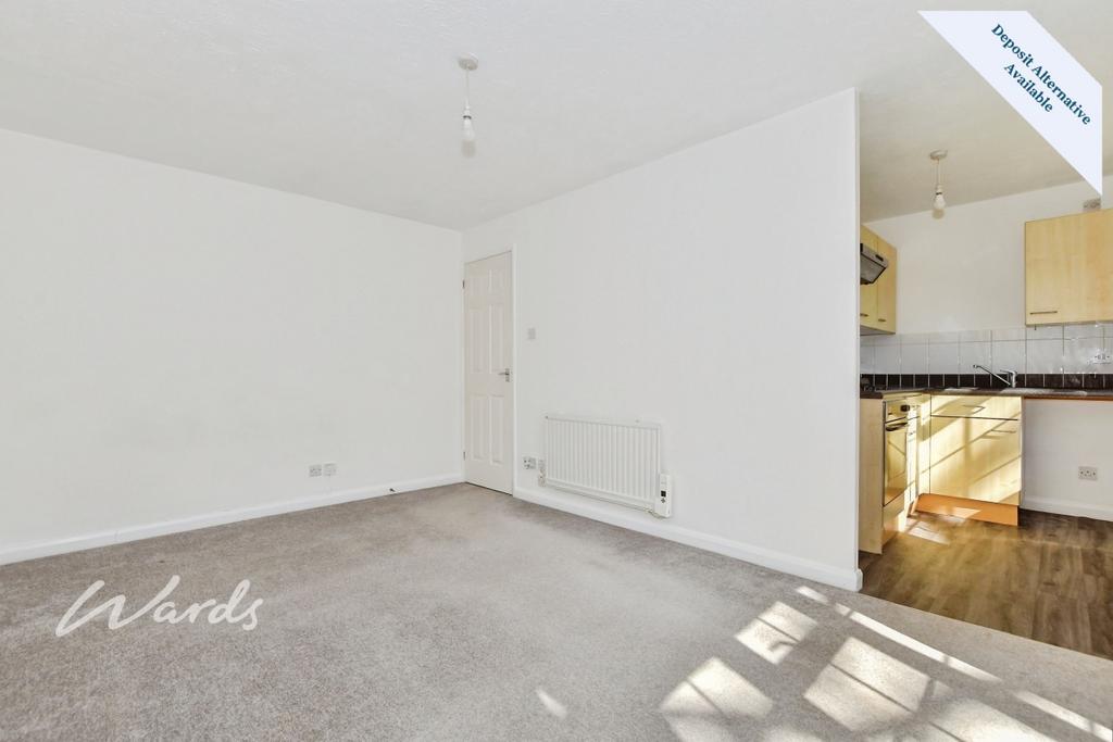Living/Bedroom Area