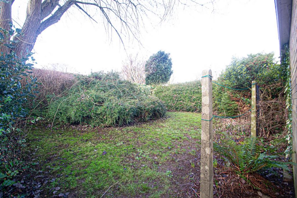 Garden Behind Garage