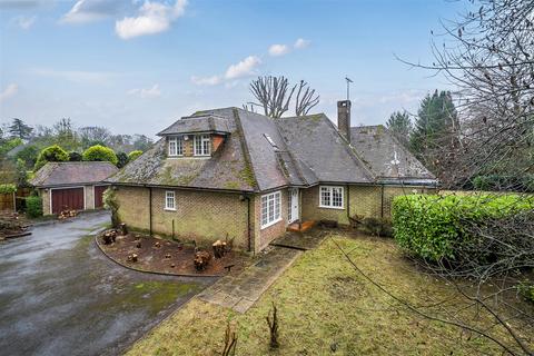 Hedgehog Lane, Haslemere