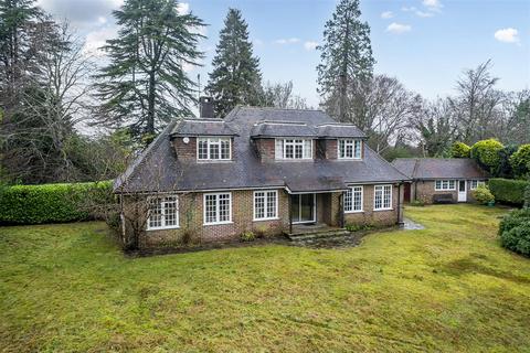 undefined, Hedgehog Lane, Haslemere