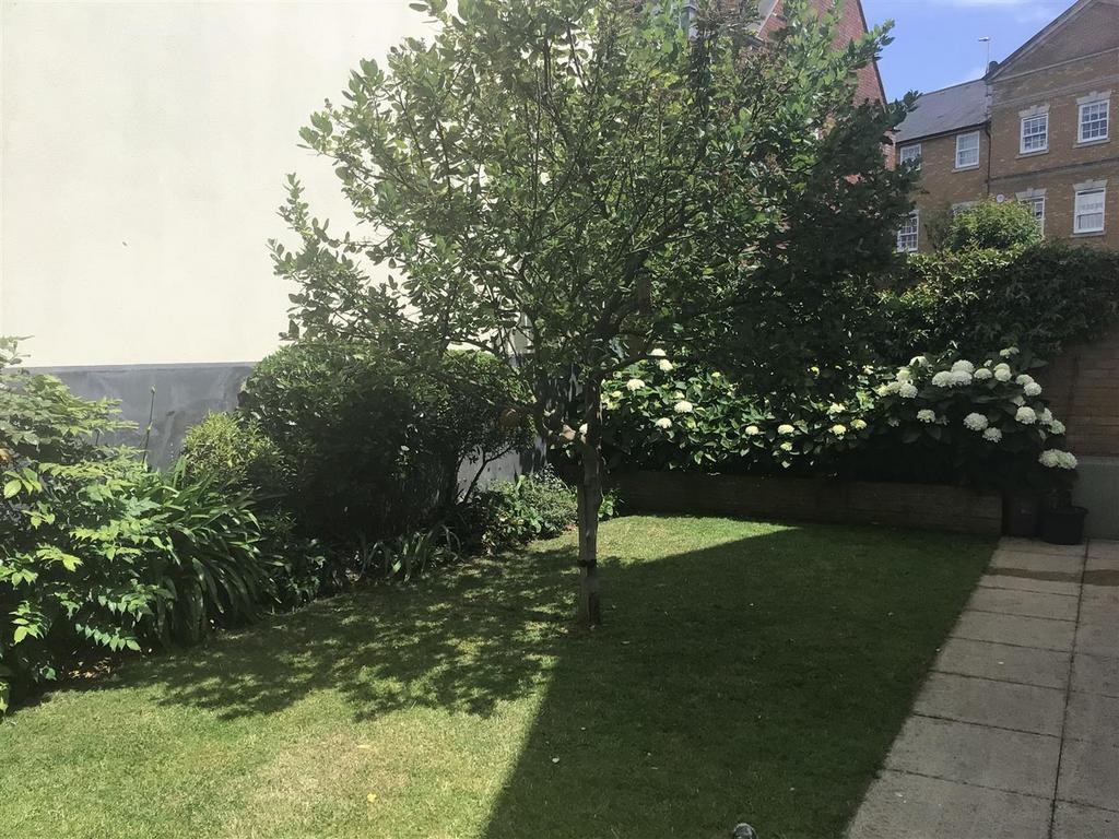 Summer Garden Picture