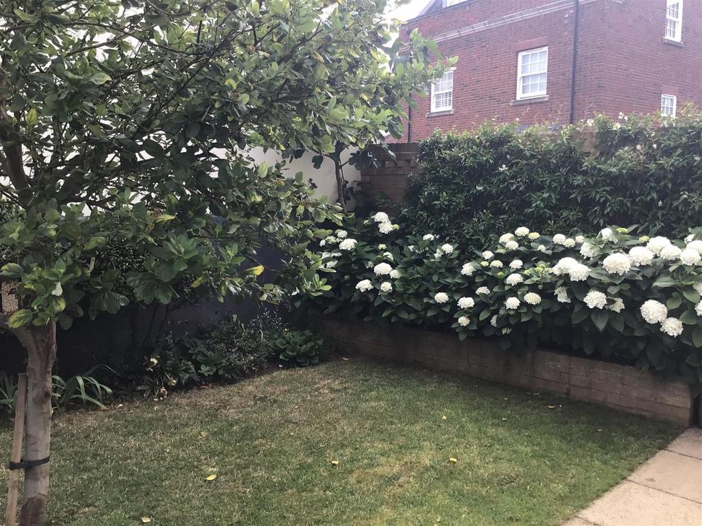 Summer Garden Flowers
