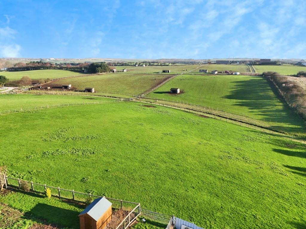 B4900587-DJI 20260120114027 0021 D.JPG