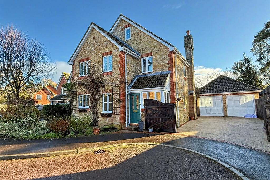 (Main)