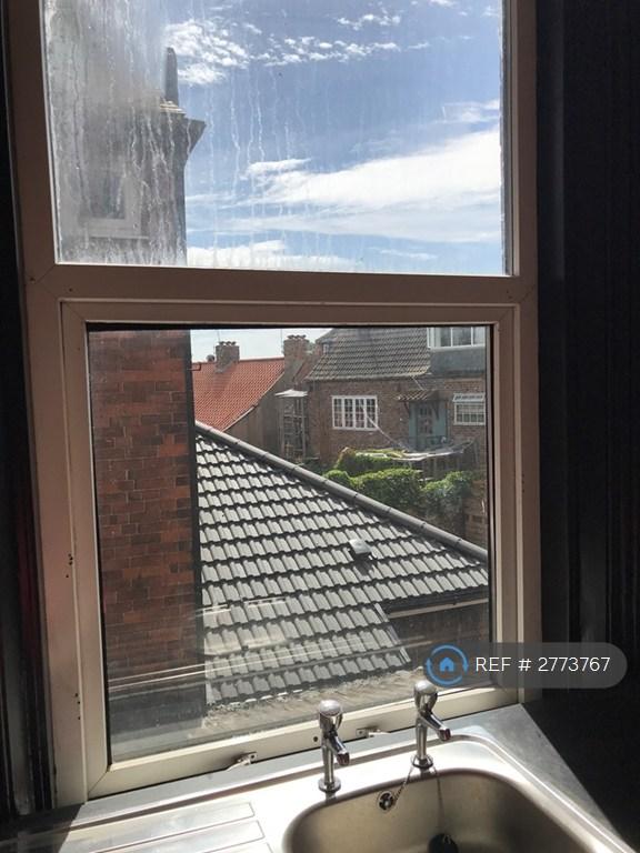 Kitchen Window (New One Now Installed)