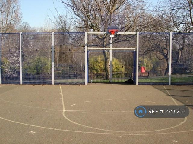 Basketball Courts