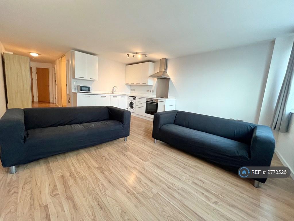 Living / Kitchen Area