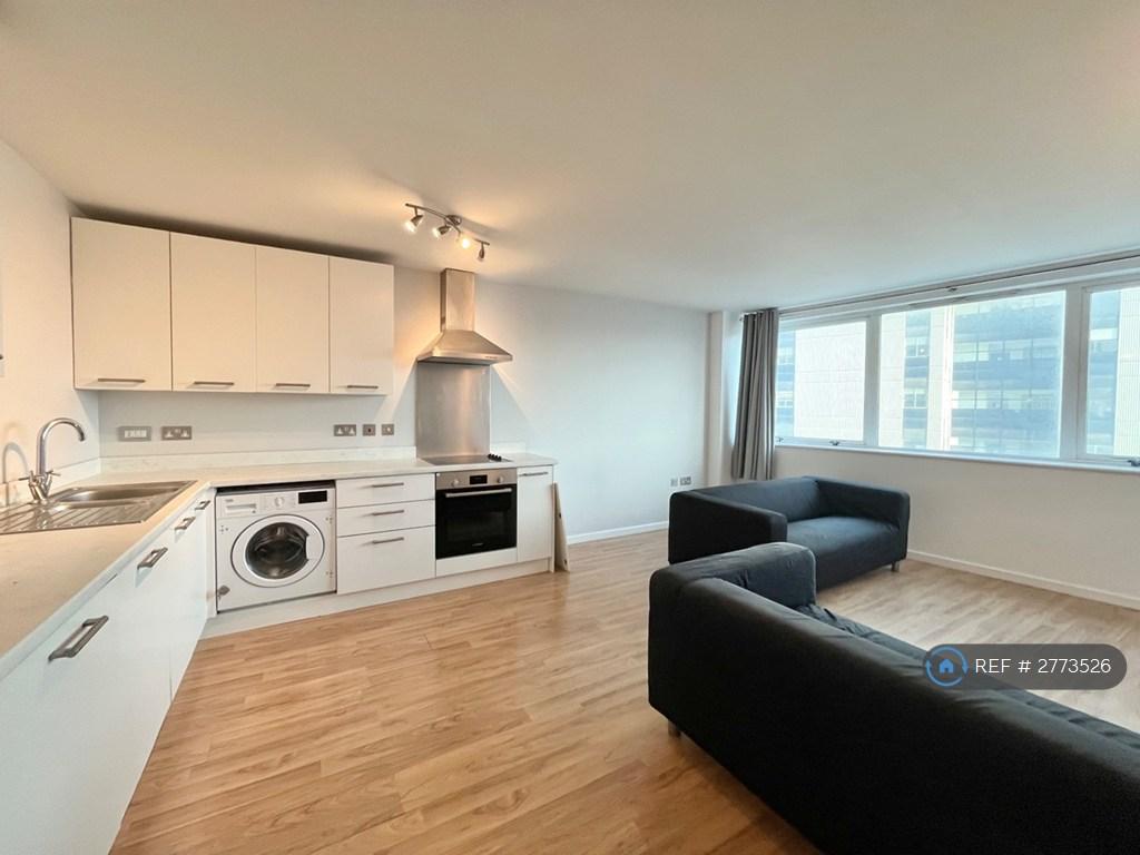 Kitchen / Living Area
