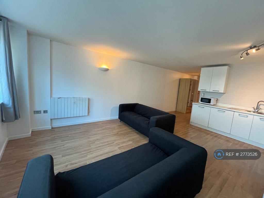 Living / Kitchen Area