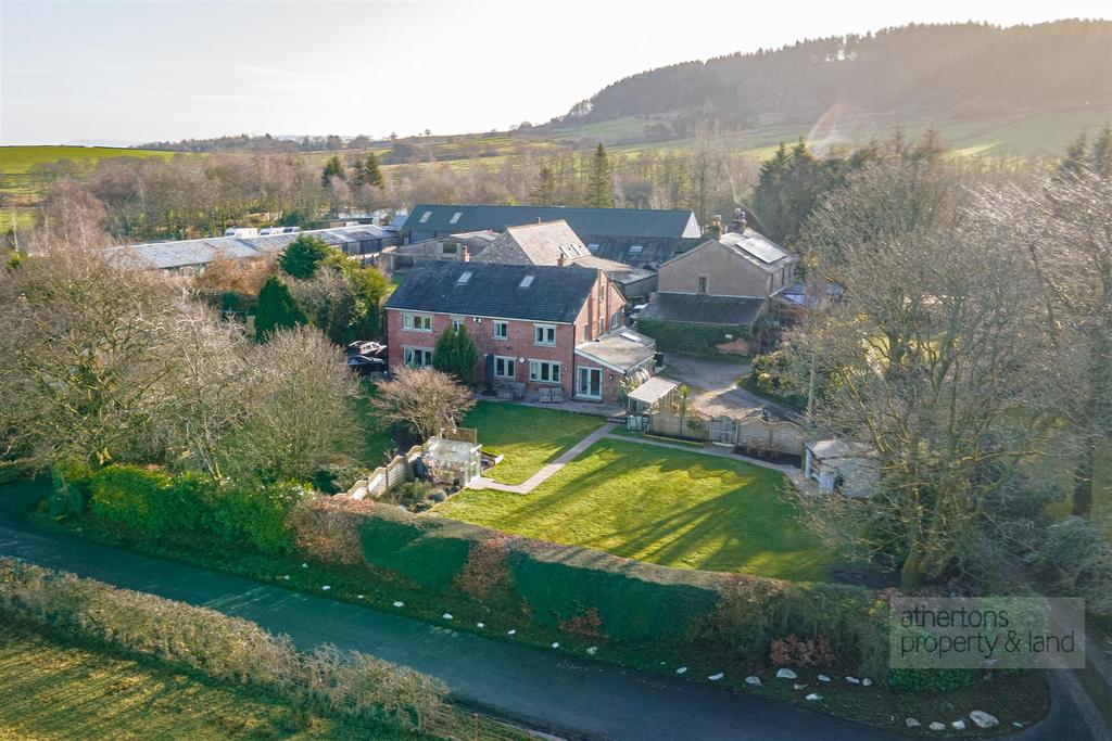 DJI 0443.jpg