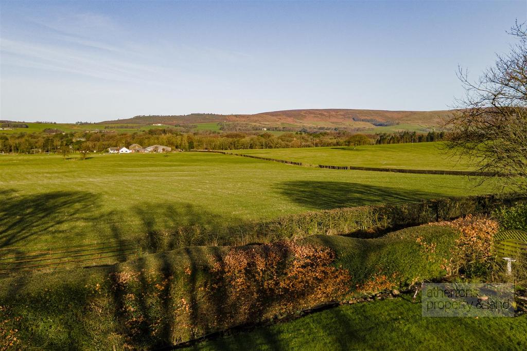 DJI 0454.jpg