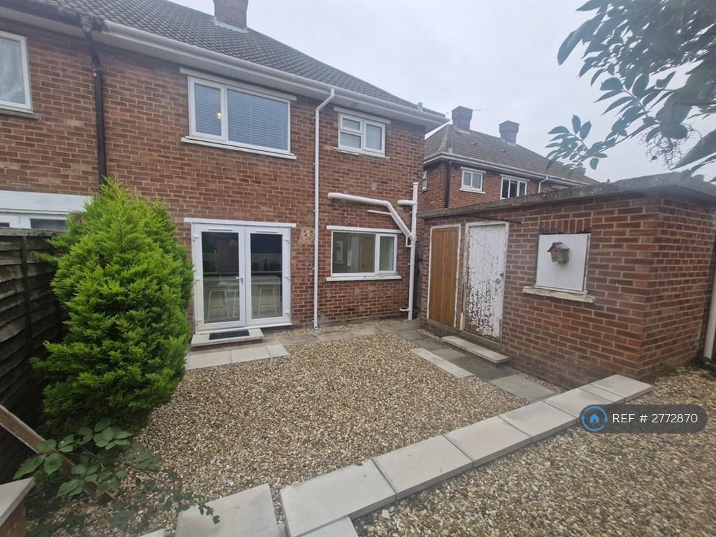 Back Garden
