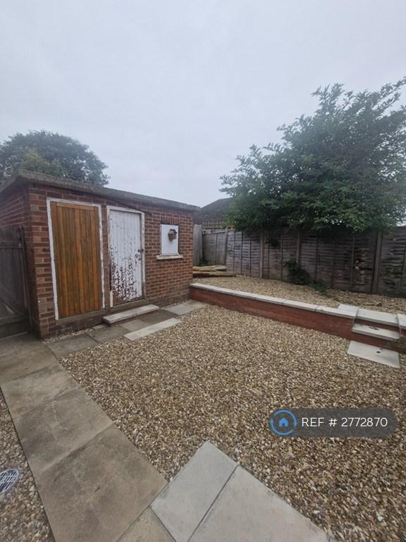 Back Garden