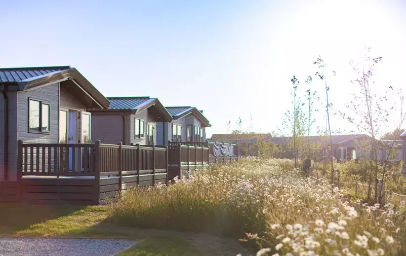 Padstow 7872 Edit Resized 1 802x505 F50 50